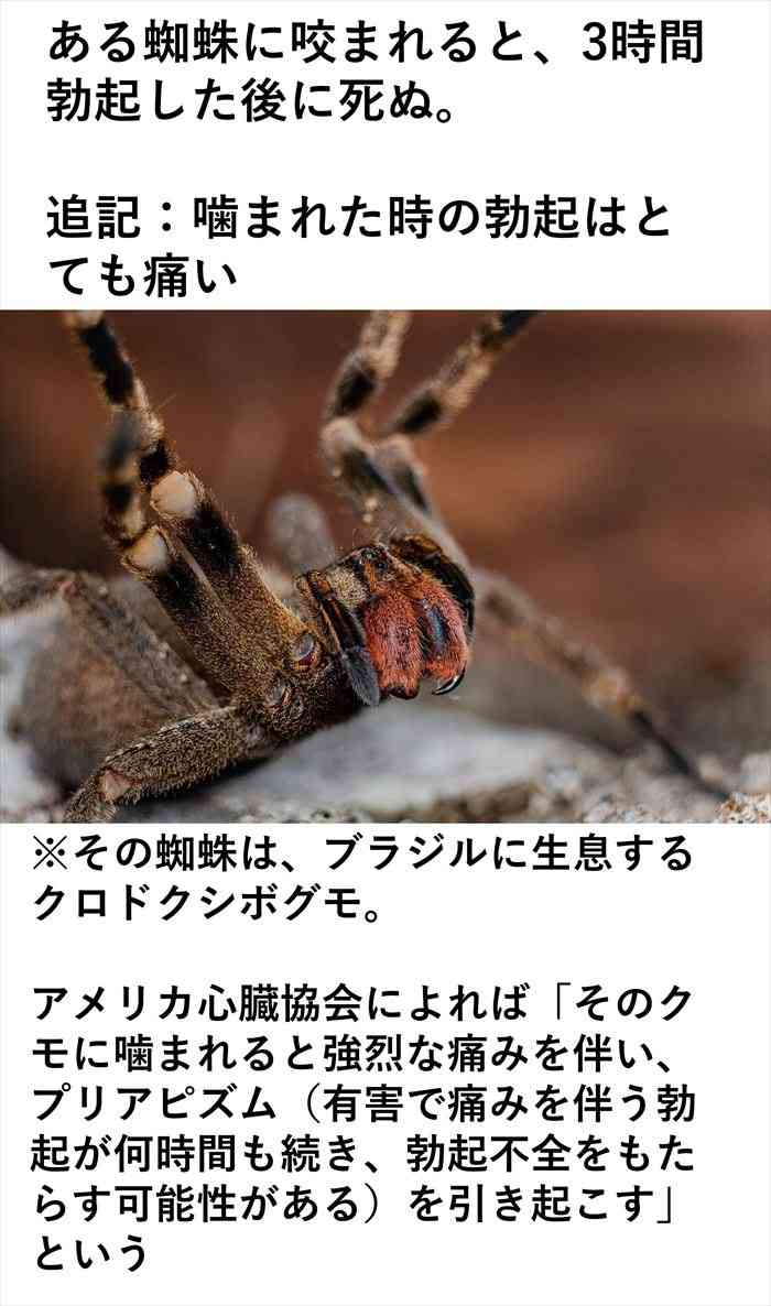 妻の長女と性交した男に懲役6年判決…監護者にあたらずとの主張認めず