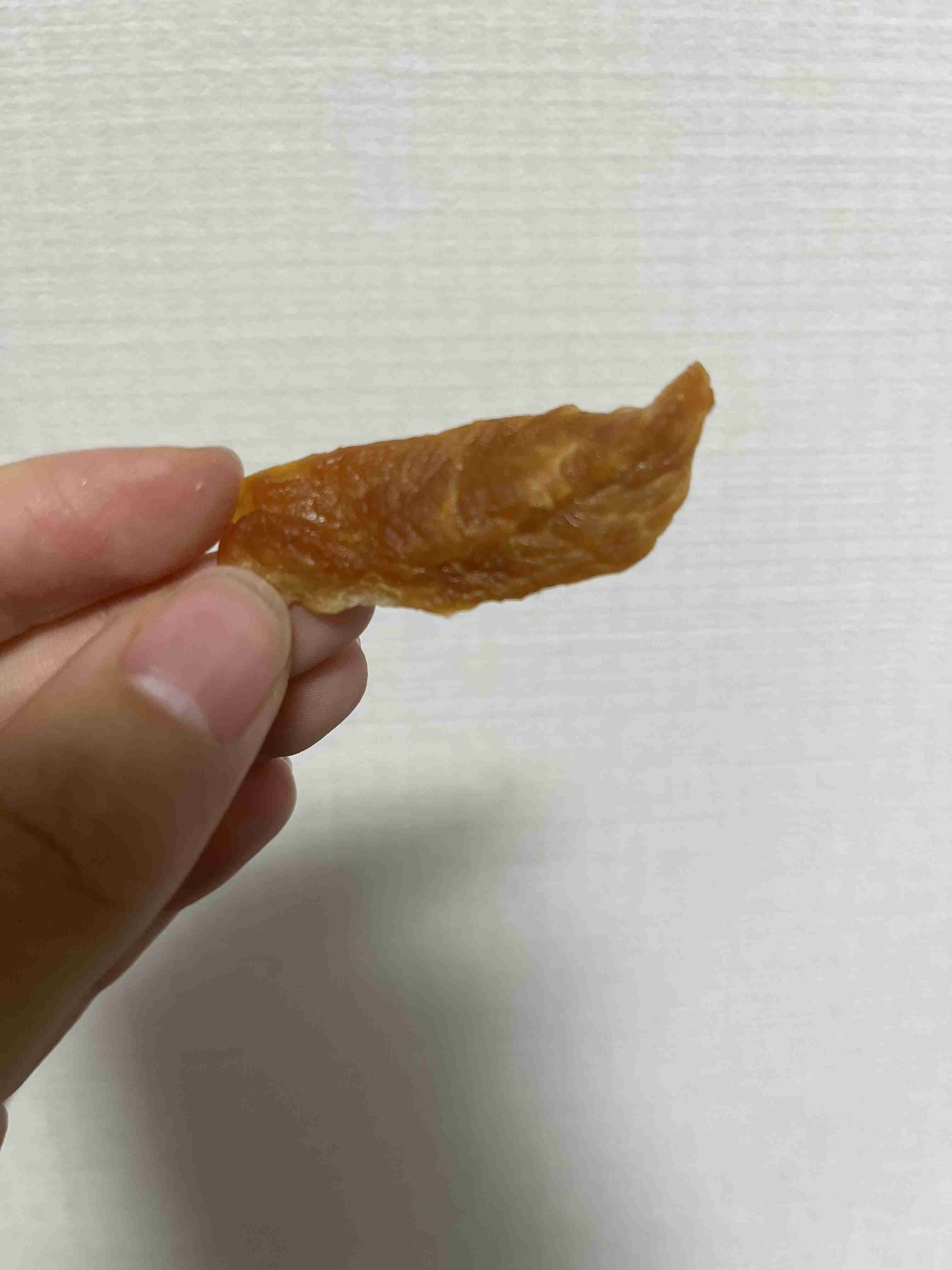 ドッグフードか？手作り食か？サプリメントか？