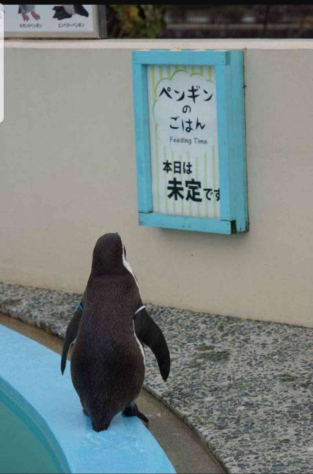 心の声が伝わってくる画像 Part2