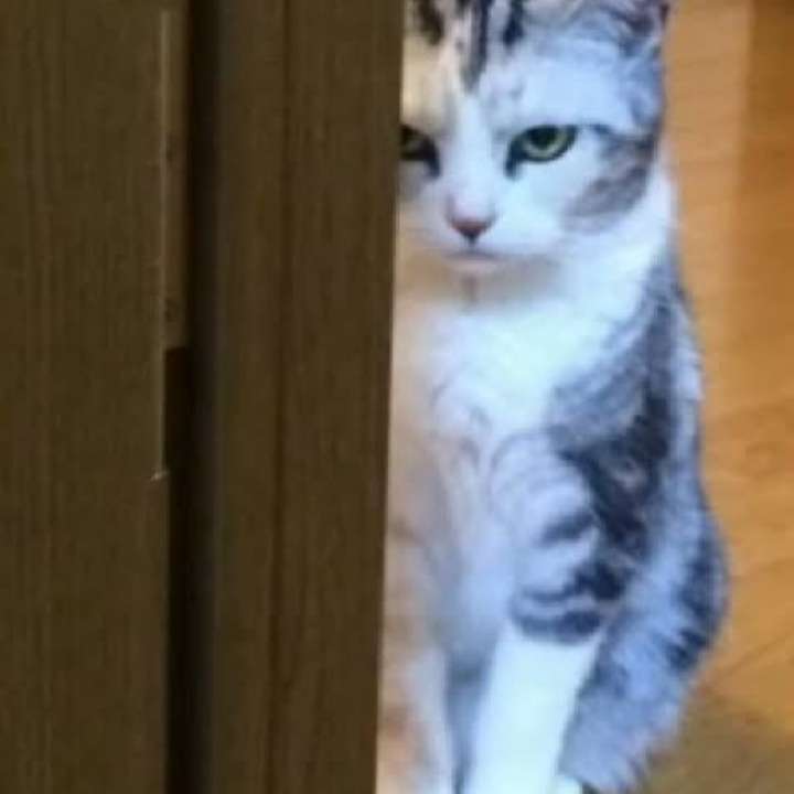 心の声が伝わってくる画像 Part2