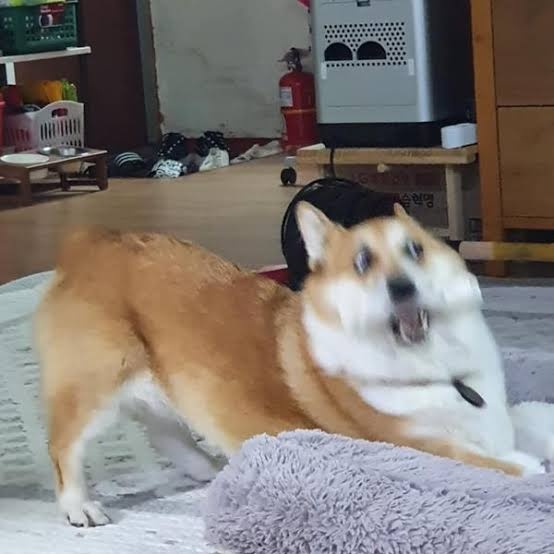 心の声が伝わってくる画像 Part2