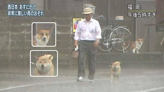 心の声が伝わってくる画像 Part2