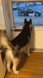 心の声が伝わってくる画像 Part2