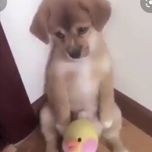 心の声が伝わってくる画像 Part2