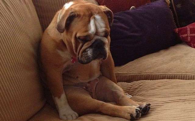 心の声が伝わってくる画像 Part2