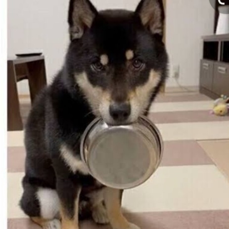 心の声が伝わってくる画像 Part2