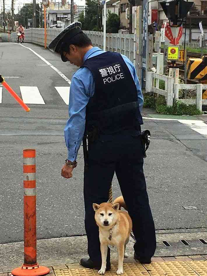 警察が苦手な人
