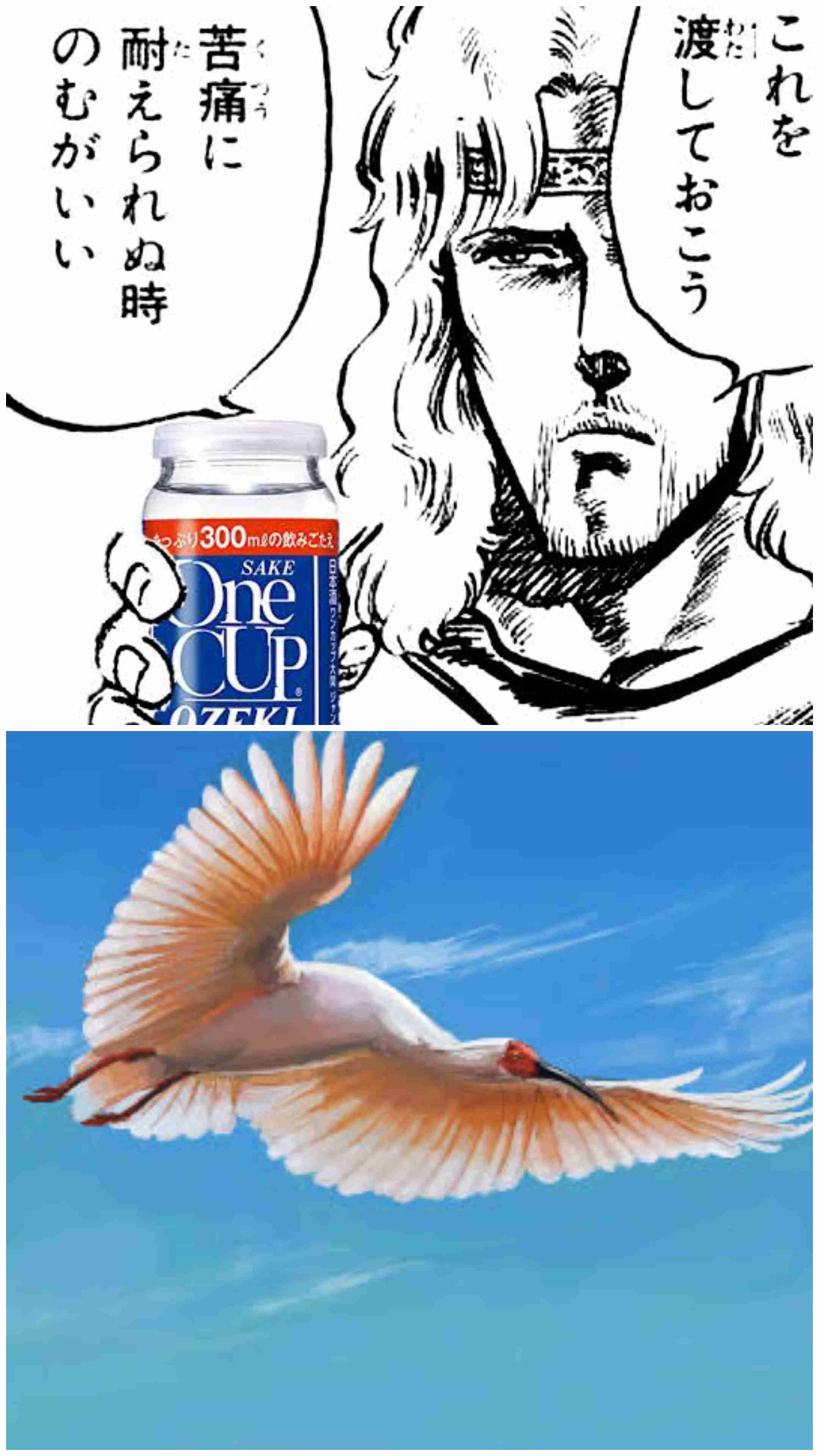 この名前で真っ先に思い浮かんだ方はどっち？