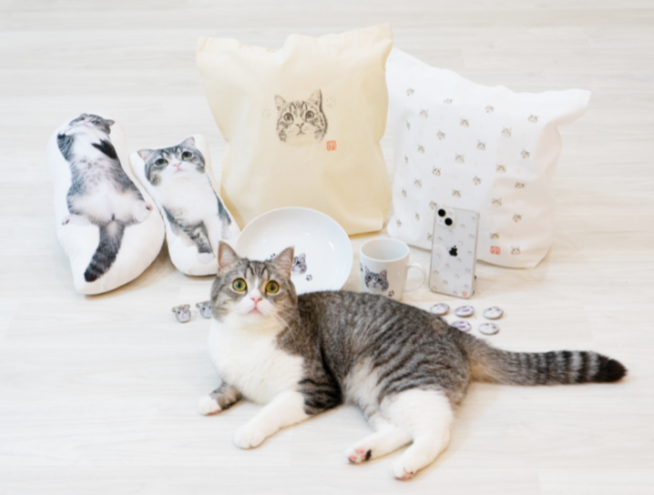 人気猫YouTuberもちまる、猫を観覧車に乗せ炎上「再生回数のためにここまで…」批判集まる