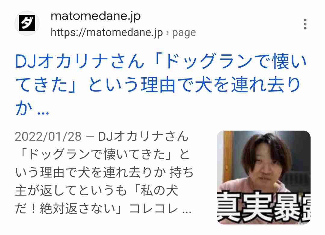 人気猫YouTuberもちまる、猫を観覧車に乗せ炎上「再生回数のためにここまで…」批判集まる