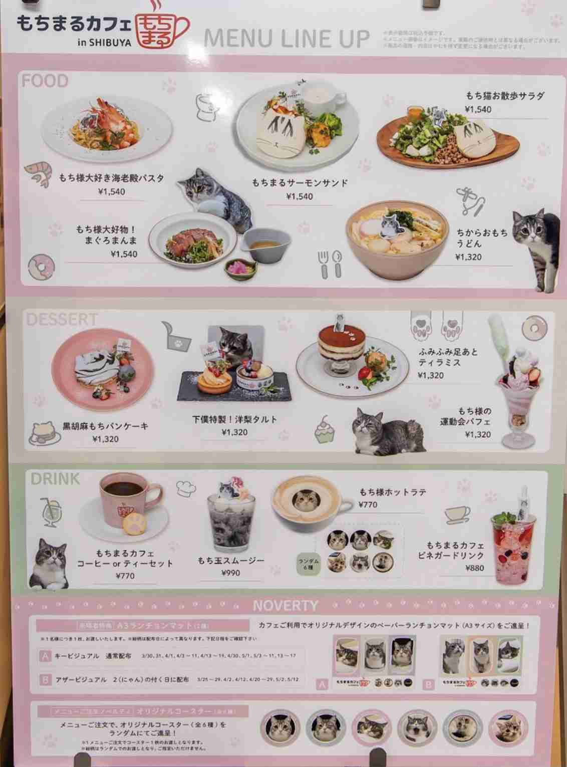 人気猫YouTuberもちまる、猫を観覧車に乗せ炎上「再生回数のためにここまで…」批判集まる