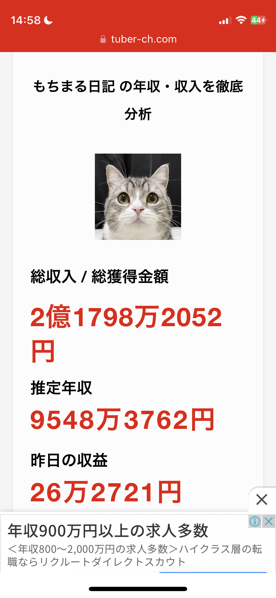 人気猫YouTuberもちまる、猫を観覧車に乗せ炎上「再生回数のためにここまで…」批判集まる