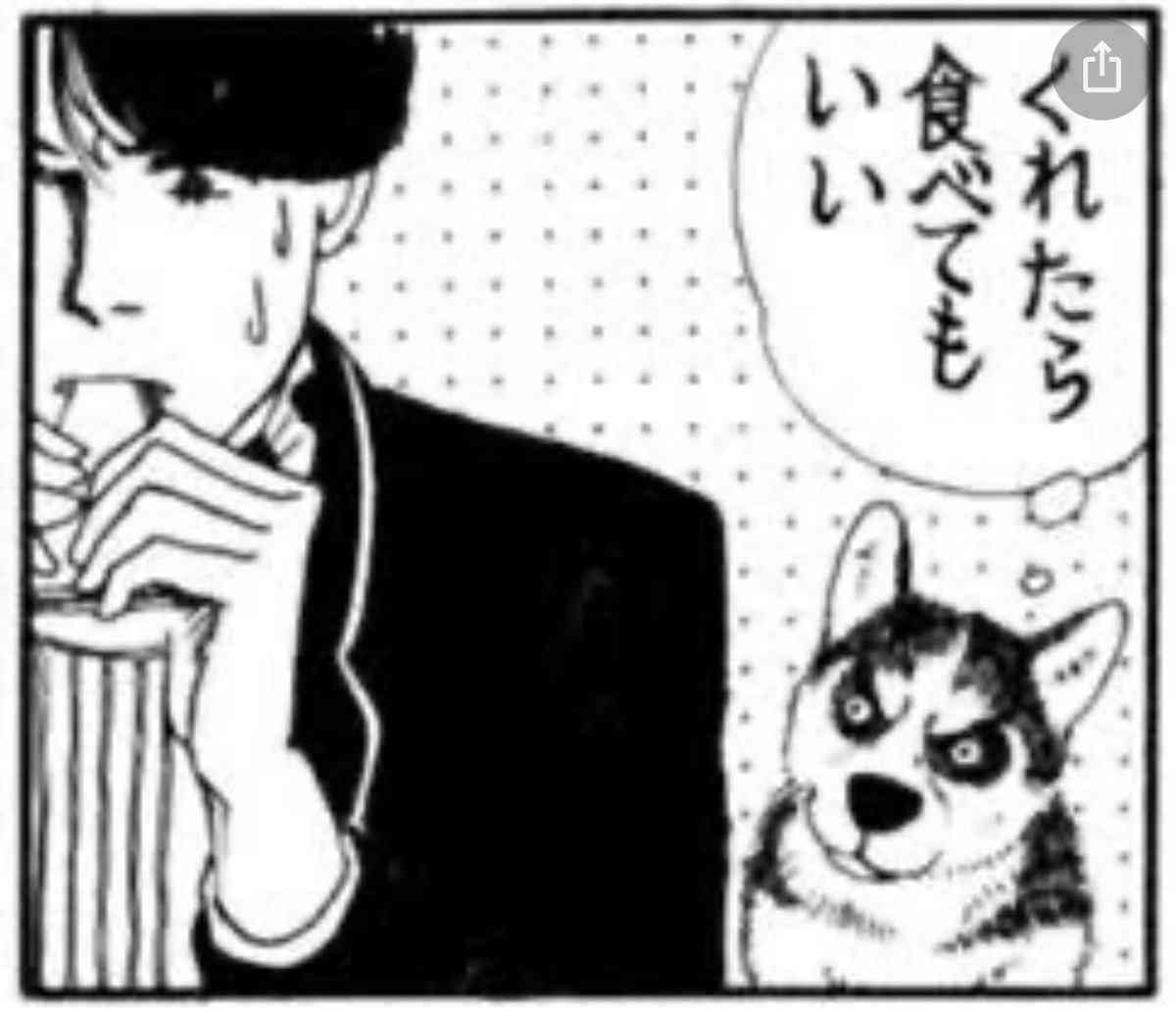 佐々木倫子さんの作品を語りたい