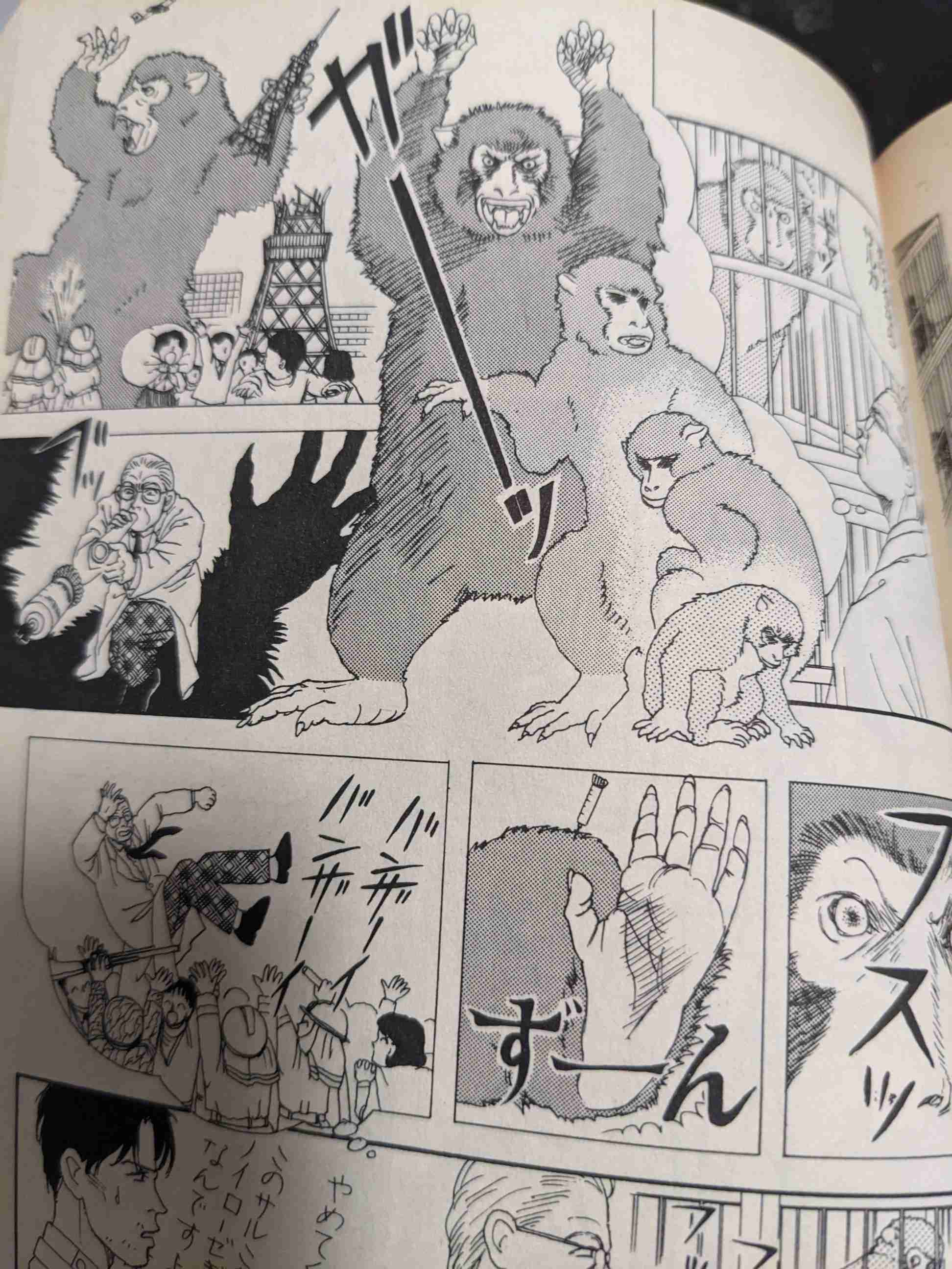 佐々木倫子さんの作品を語りたい