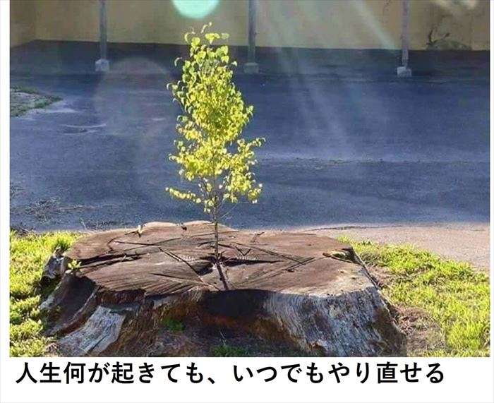 就活か婚活か精神的自立か