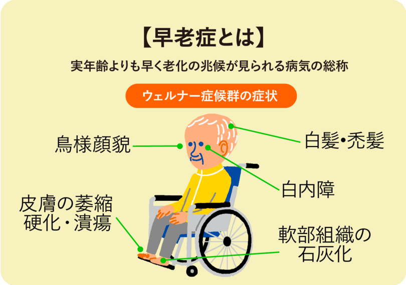 “老化”防げる可能性「老化細胞の除去」に東大が成功 最新研究に世界も注目