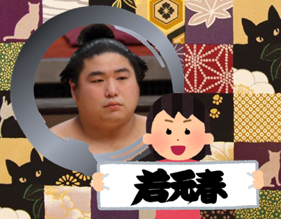 【感想・実況】大相撲〜2022年11月九州場所〜