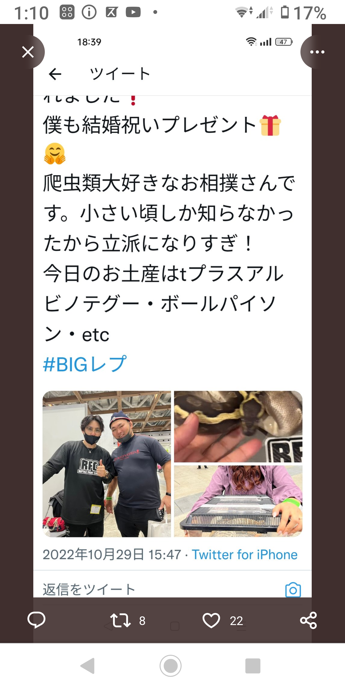 【感想・実況】大相撲〜2022年11月九州場所〜