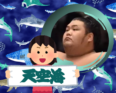【感想・実況】大相撲〜2022年11月九州場所〜