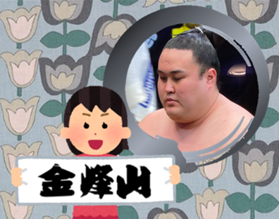 【感想・実況】大相撲〜2022年11月九州場所〜