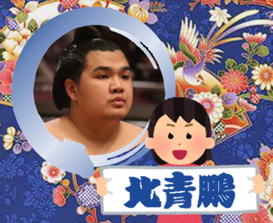 【感想・実況】大相撲〜2022年11月九州場所〜