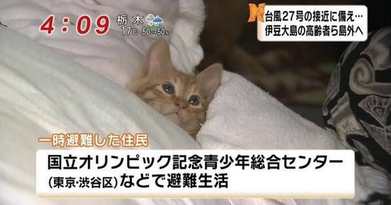 寝るのが好きな人ならわかってくれそうなこと