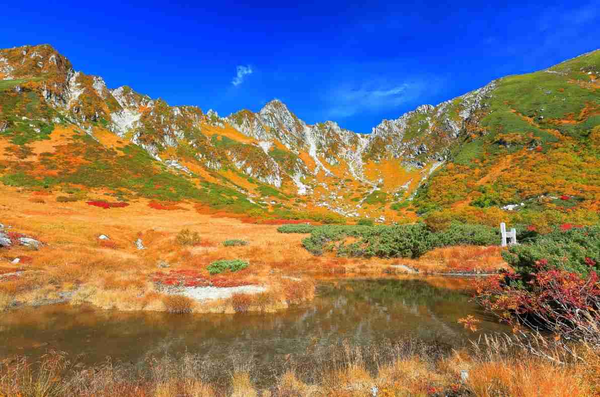 【画像好きな人集まれ！】皆が希望するお題に沿った画像をひたすら貼るトピ