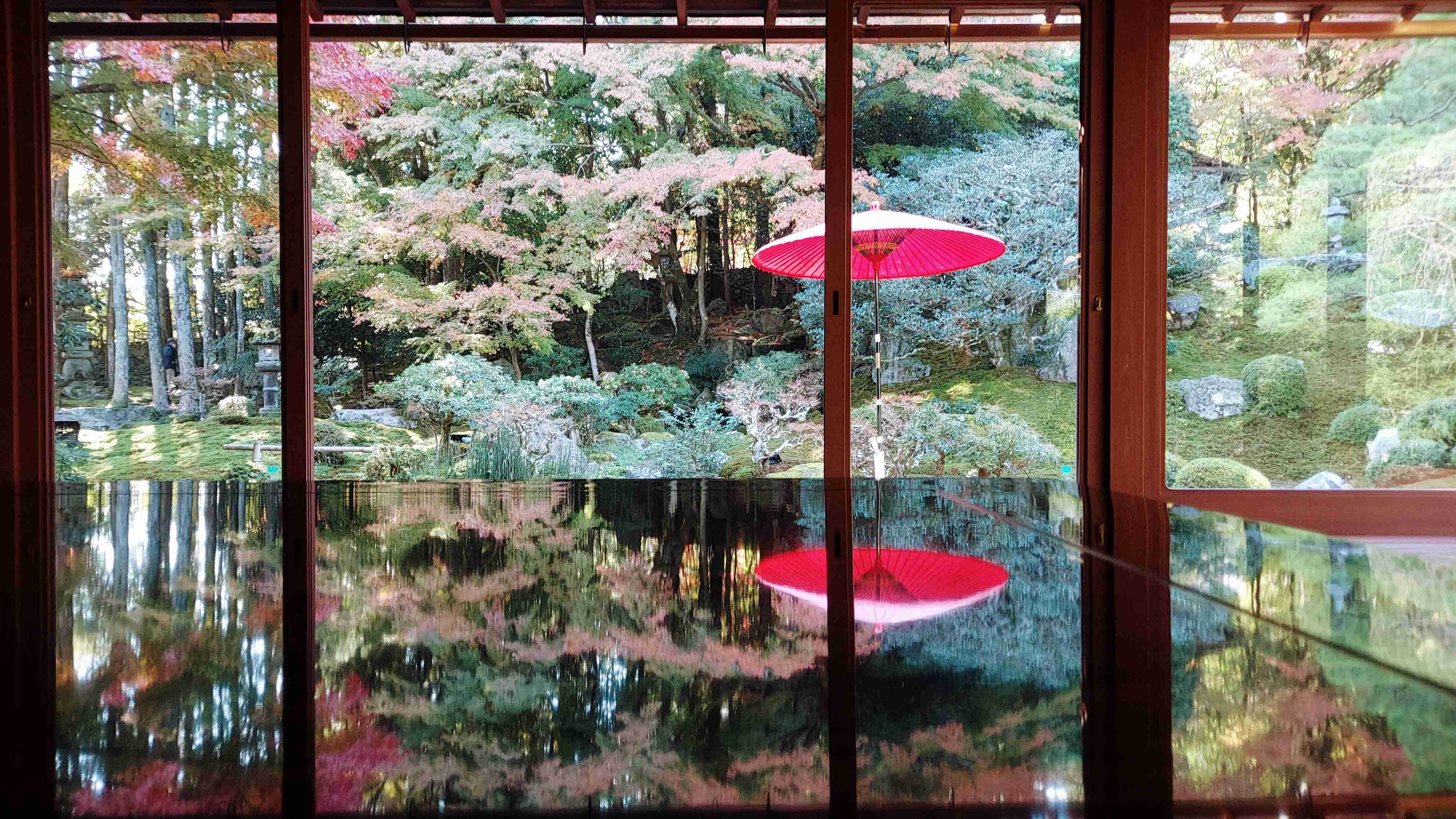 一人旅でどこに行きましたか？