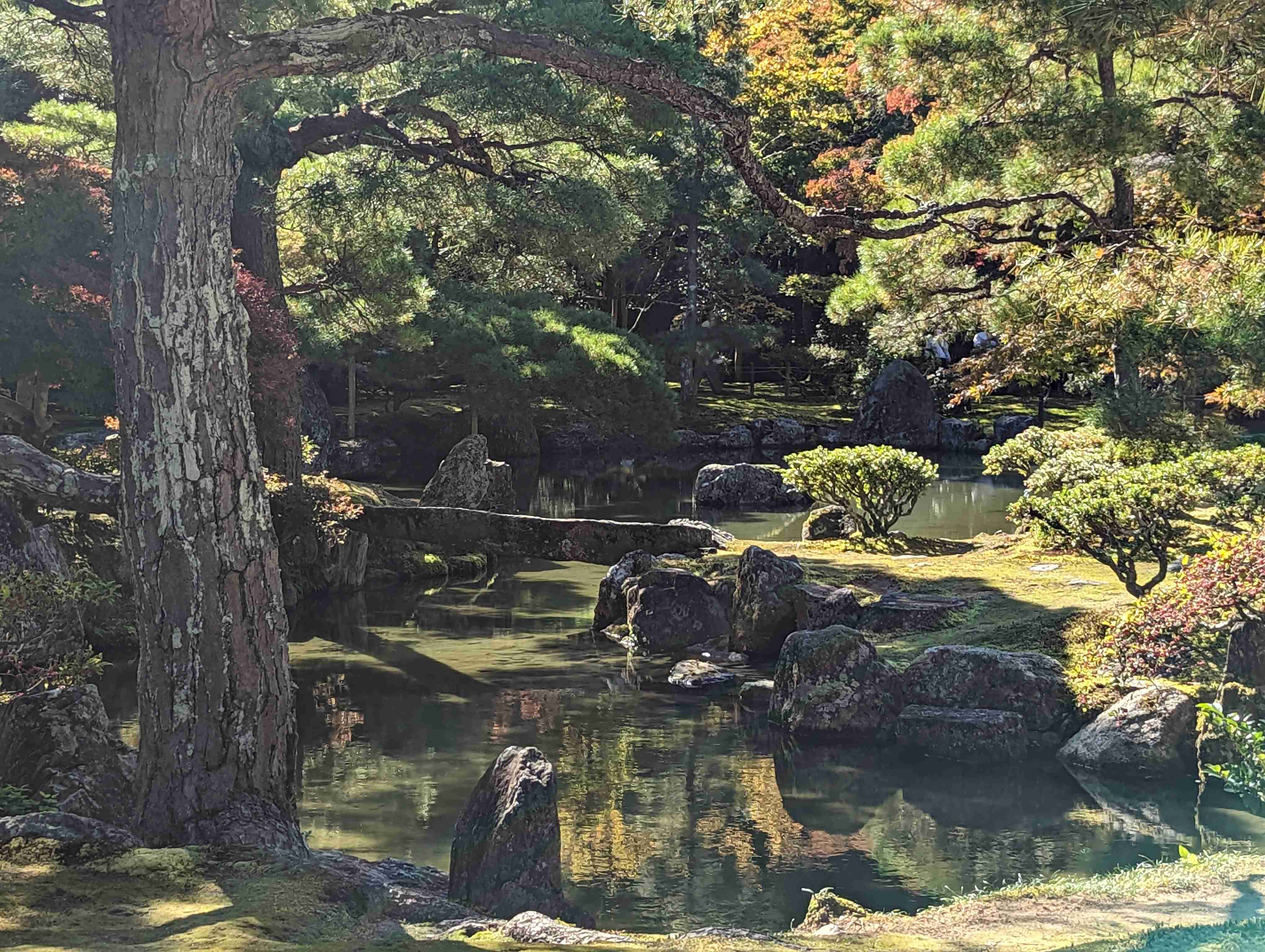 一人旅でどこに行きましたか？