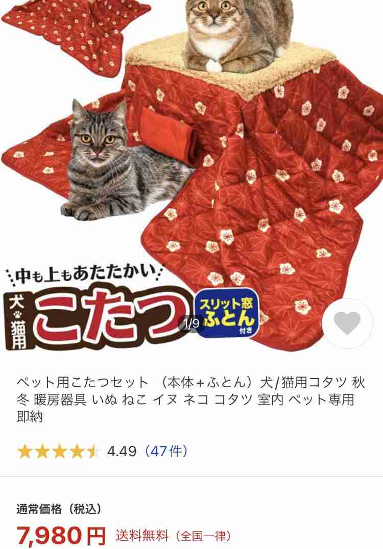 【一人暮らし】こたつが欲しい