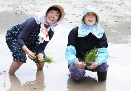 三原じゅん子氏 走行距離課税導入検討に私見「国民の理解が得られない」