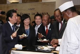 三原じゅん子氏 走行距離課税導入検討に私見「国民の理解が得られない」