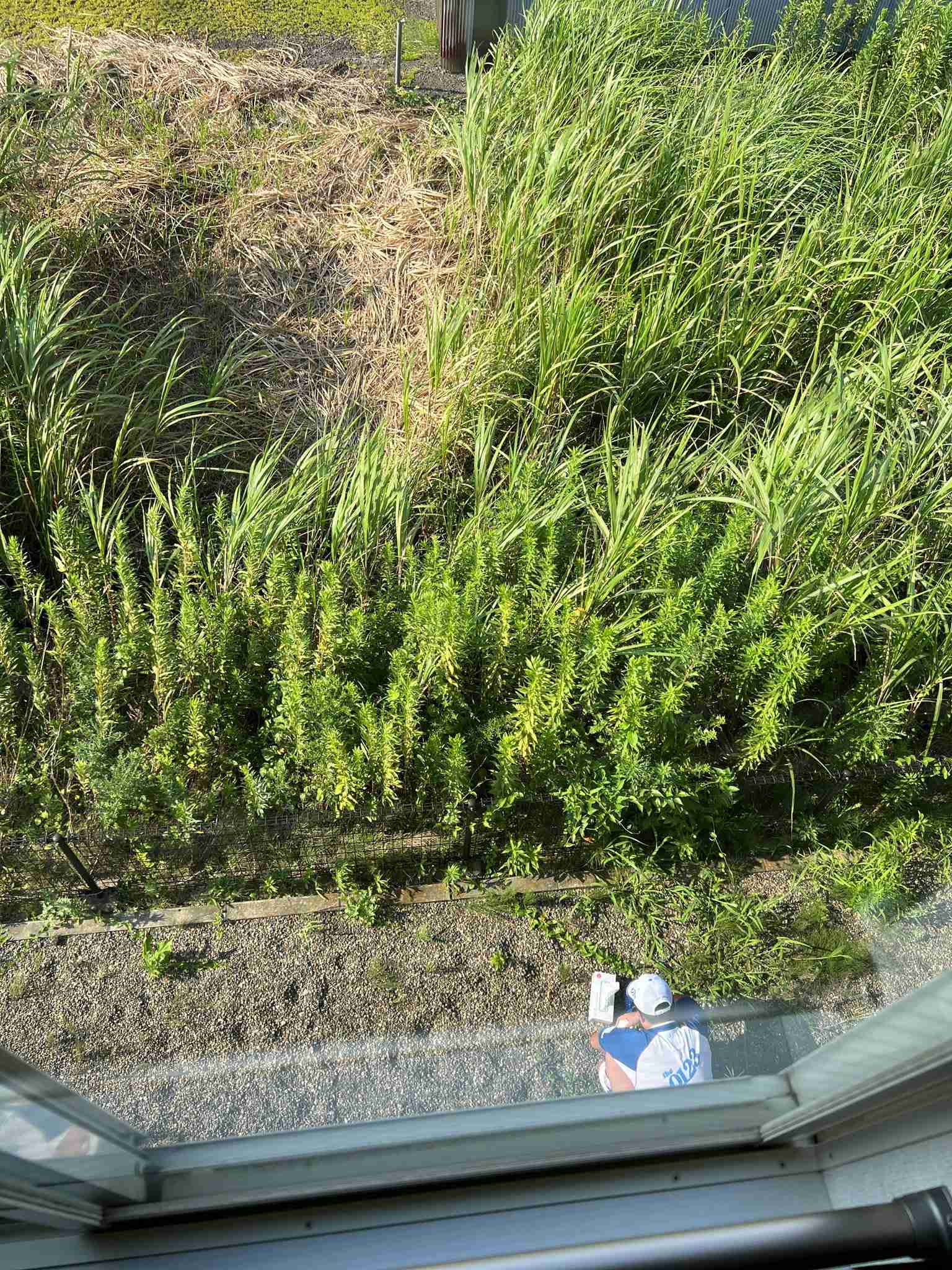 同僚男性にわいせつ行為か…アート引越センター社員の男ら4人を逮捕　“日常的ないじめ”があったとみて捜査