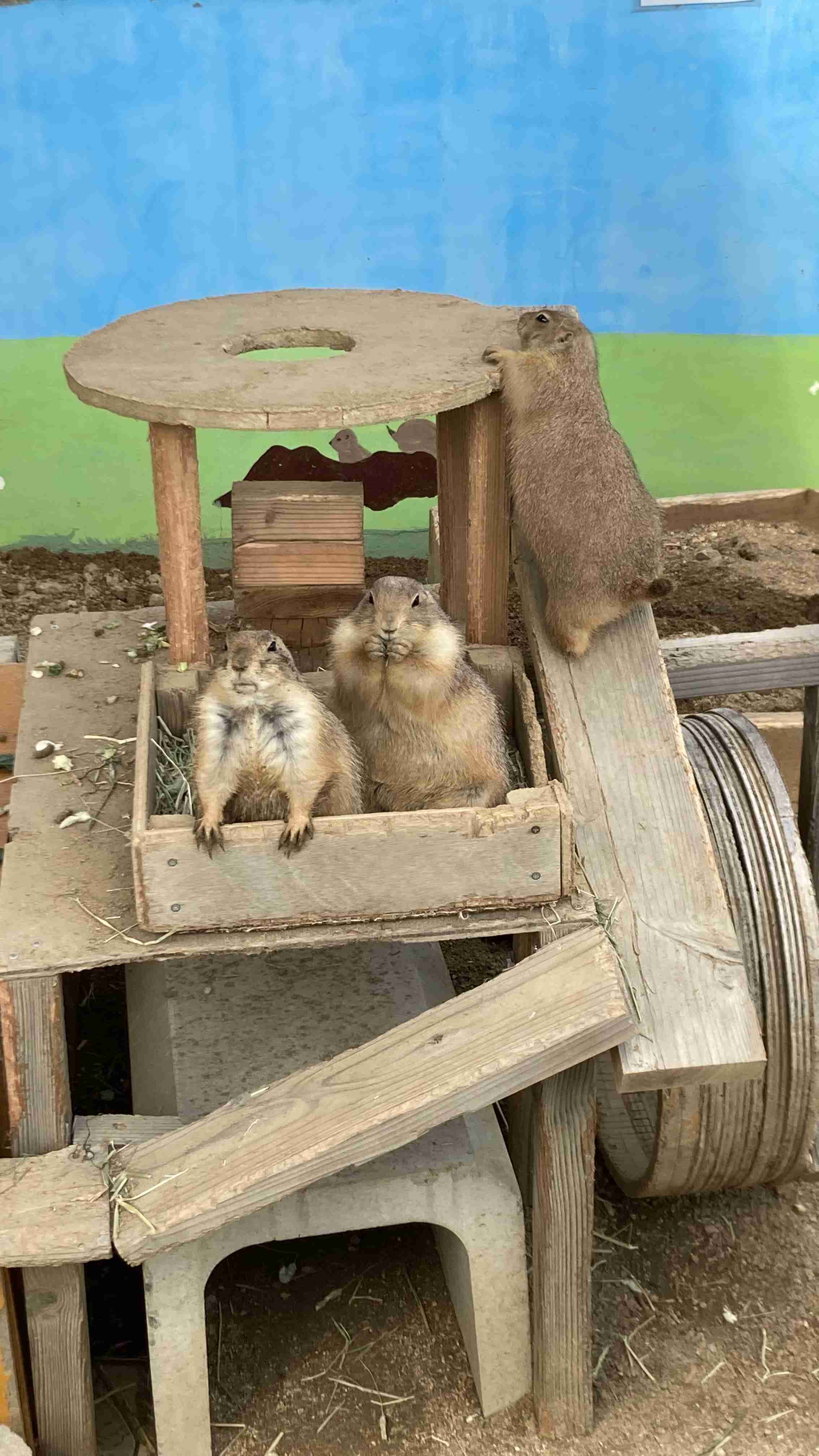 動物園や水族館で撮った写真見せてください!