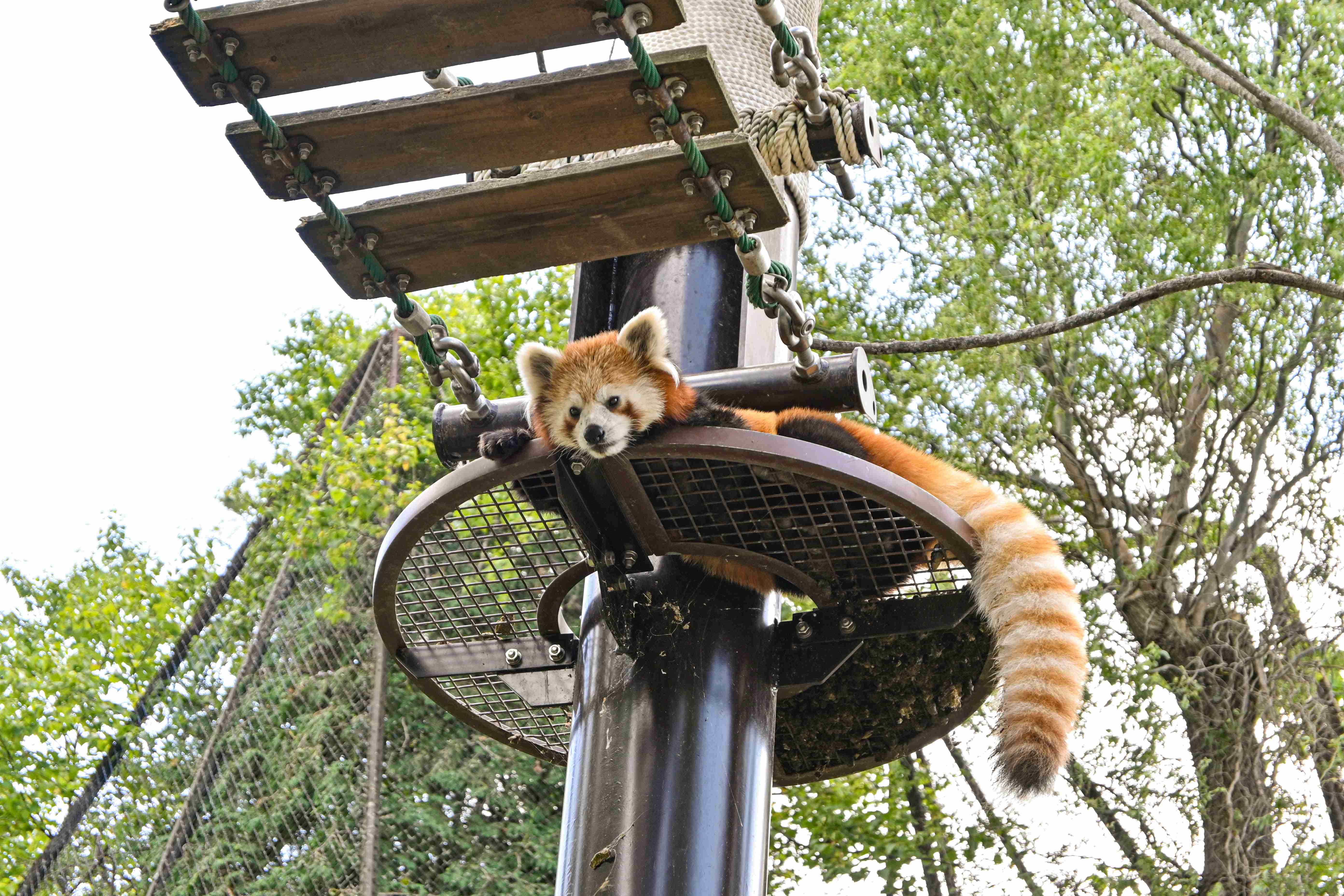 動物園や水族館で撮った写真見せてください!