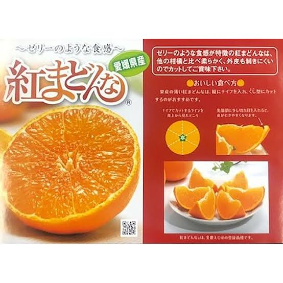 みかんが好き🍊