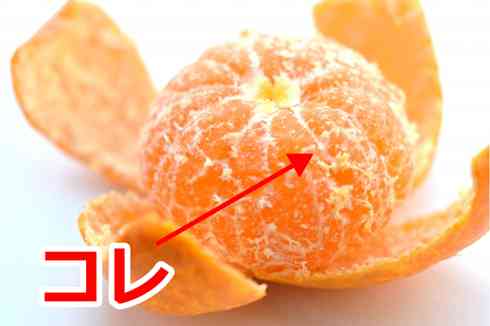 みかんが好き🍊