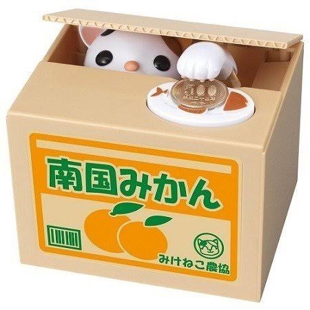 みかんが好き🍊