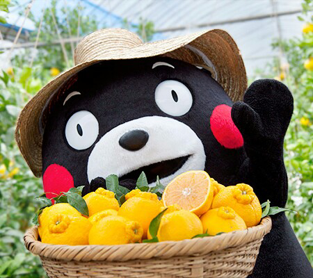 みかんが好き🍊