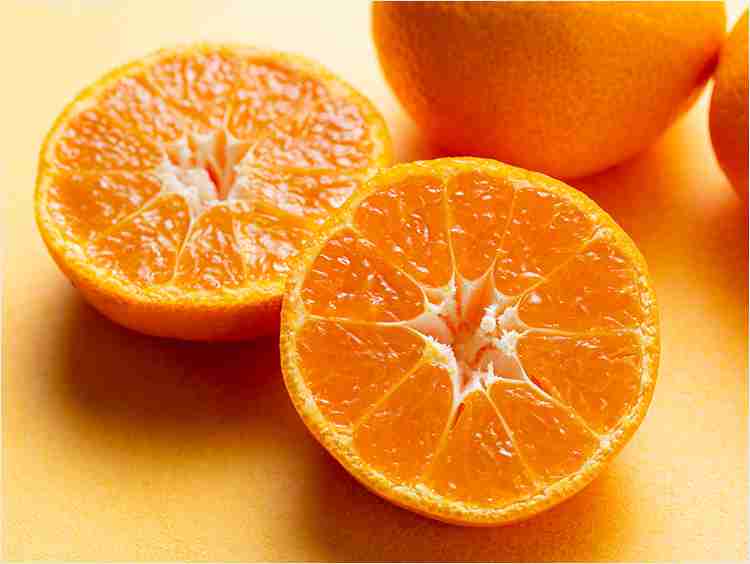 みかんが好き🍊