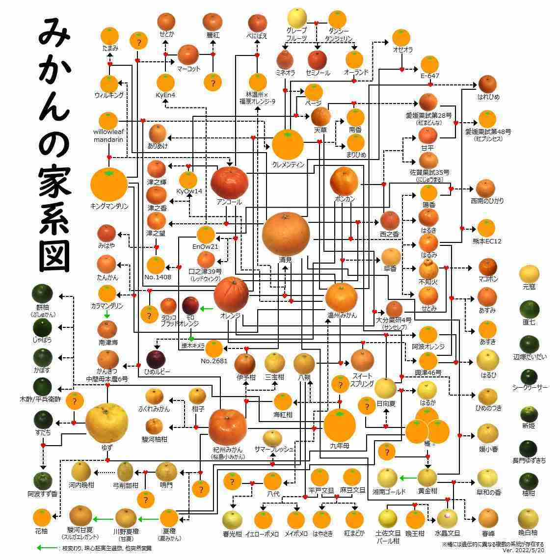 みかんが好き🍊