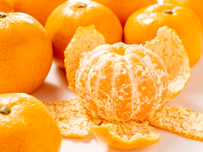 みかんが好き🍊