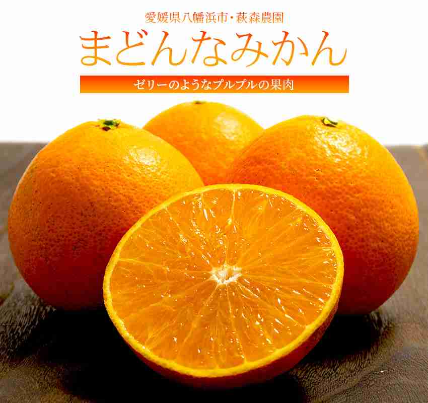 みかんが好き🍊