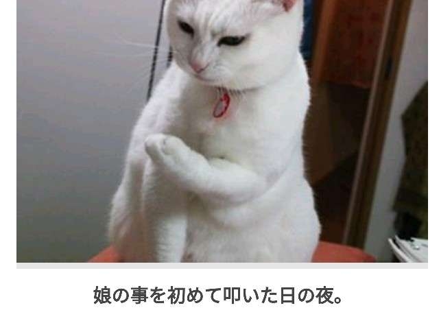 イヤイヤ期の子供への対応