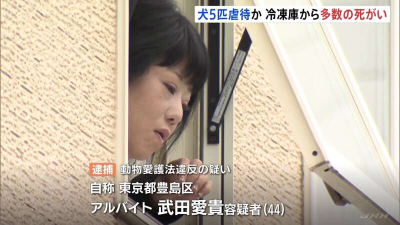 冷凍庫から多数の犬の死がい 犬5匹虐待か ドッグサロン経営の女逮捕
