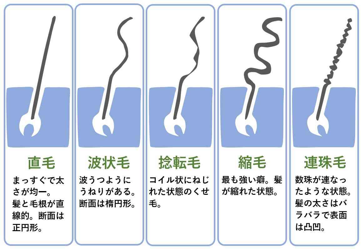 ドラスト】癖毛向きの安いシャンプー【教えて!