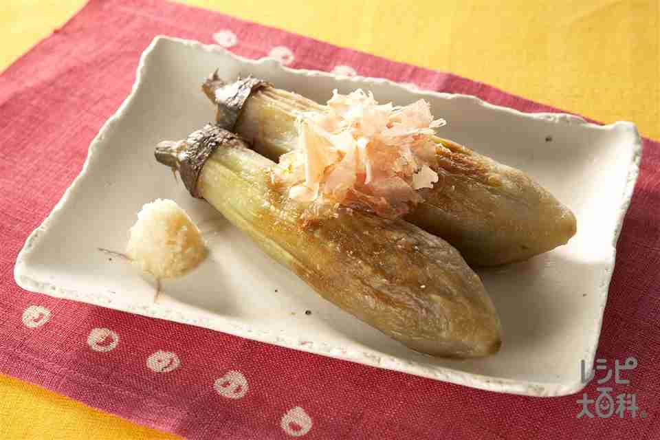 若いうちは分からなかったけど、年を重ねたら良さが分かったものPart4