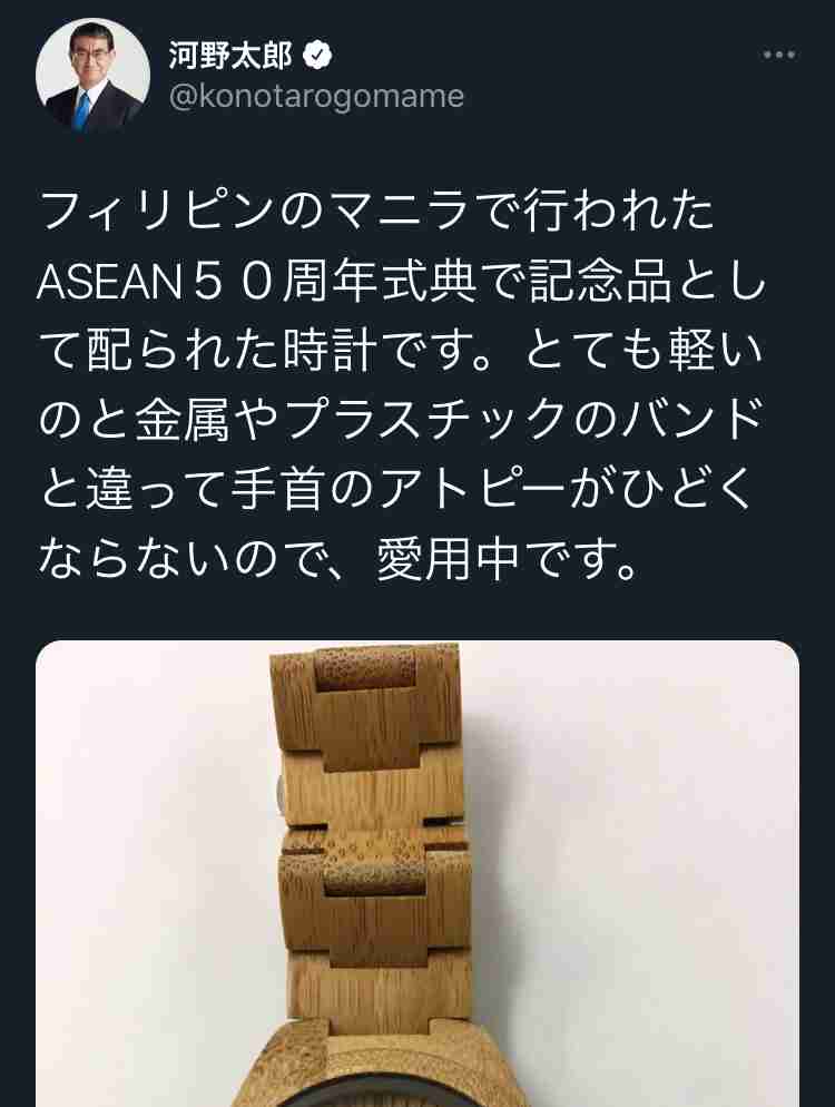 河野太郎氏の腕時計に「庶民の代表とは思えない」 「キンキラ」批判に本人反論「竹です」