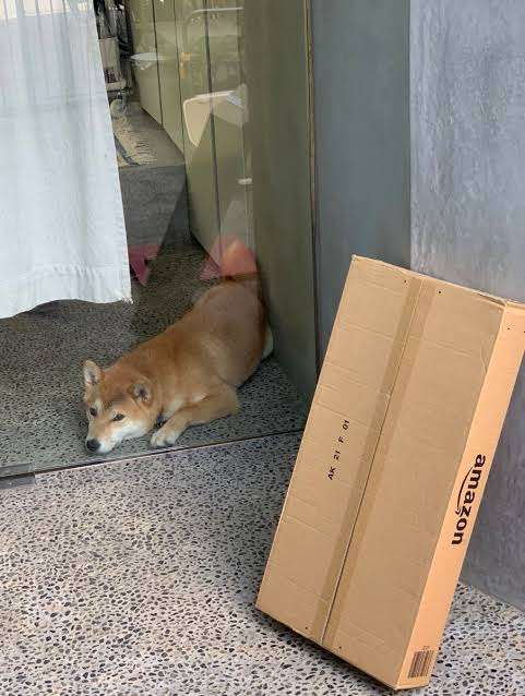 置き配完了後、配達員から送られてきた写真が…？　「最高！」「笑っちゃった」