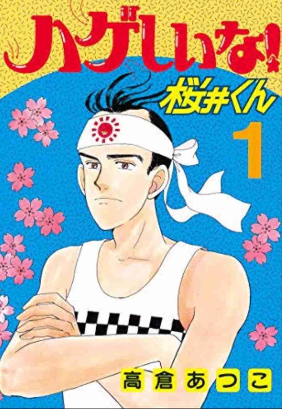恋愛漫画で、くっついた後も面白いもの